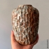 SIO-2® PT - Terracotta Earthenware Clay, Low Fire, 4 lb Sample